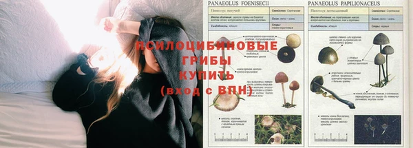 apvp Кулебаки