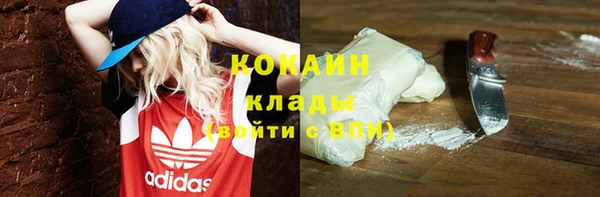 ГАЛЛЮЦИНОГЕННЫЕ ГРИБЫ Кукмор