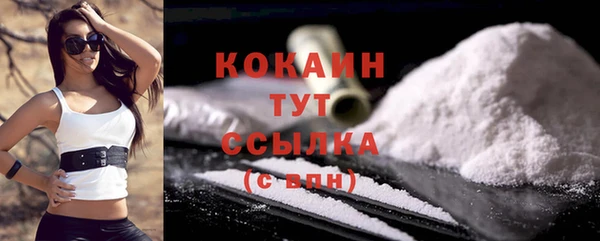 ГАЛЛЮЦИНОГЕННЫЕ ГРИБЫ Кукмор