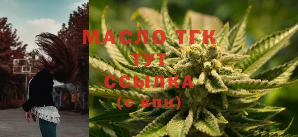 ГАЛЛЮЦИНОГЕННЫЕ ГРИБЫ Кукмор