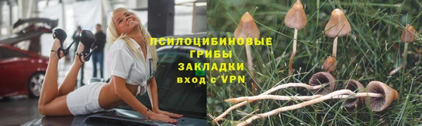 ГАЛЛЮЦИНОГЕННЫЕ ГРИБЫ Кукмор