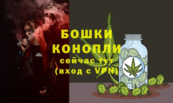 ГАЛЛЮЦИНОГЕННЫЕ ГРИБЫ Кукмор